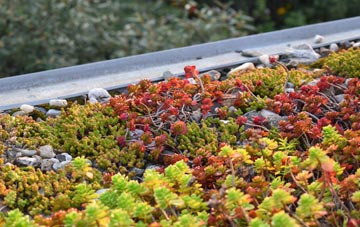 the cost of Weobley Marsh green roof installation
