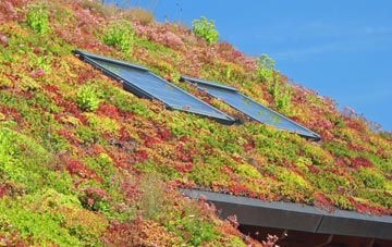 Weobley Marsh living roof systems